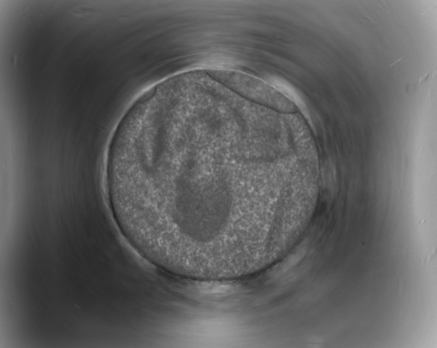 X0000088031103200706081456