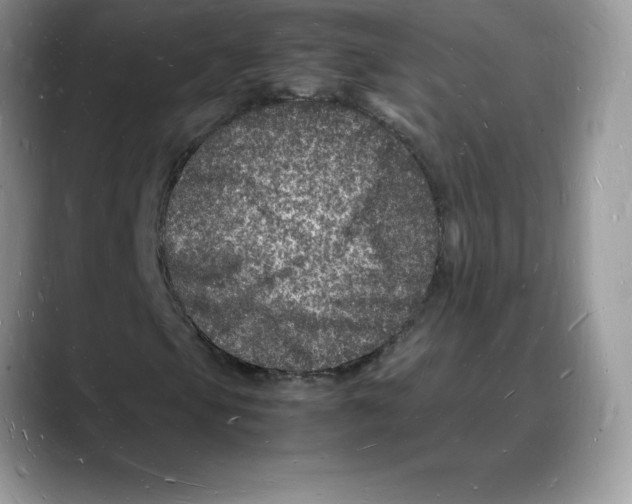X0000088031105200706081456