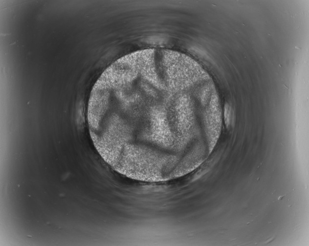 X0000088031107200706081456
