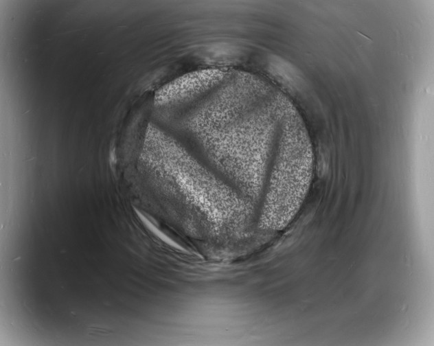 X0000088031108200706081456