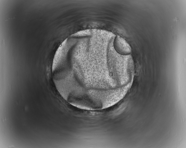 X0000088031109200706081456