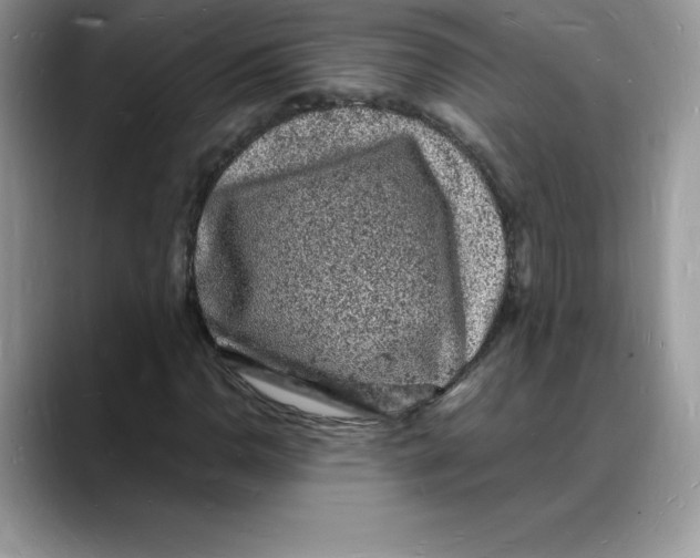 X0000088031110200706081456