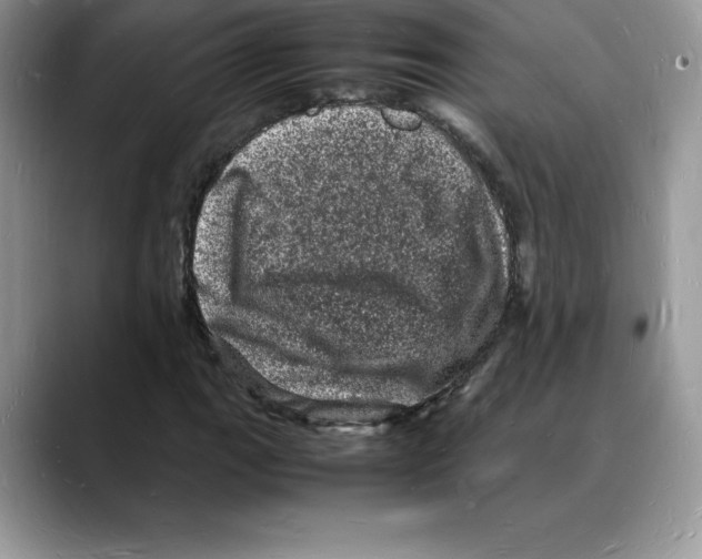 X0000088031111200706081456