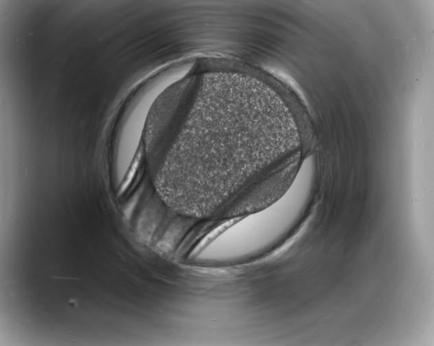 X0000088031114200706081456