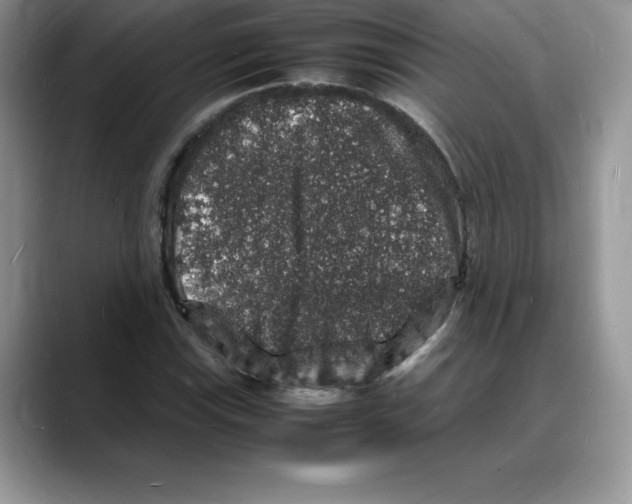X0000088031115200706081456