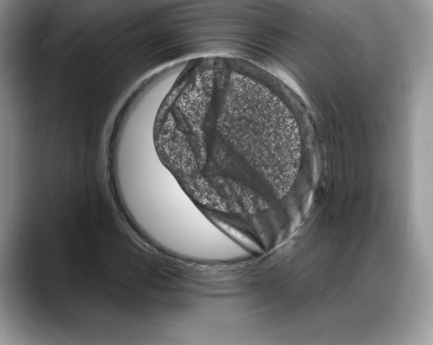 X0000088031116200706081456