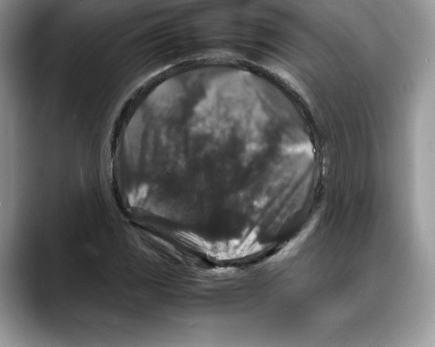 X0000088031117200706081456