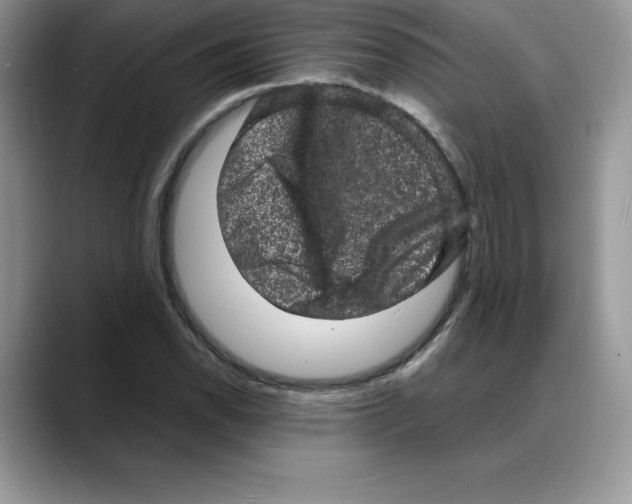 X0000088031118200706081456