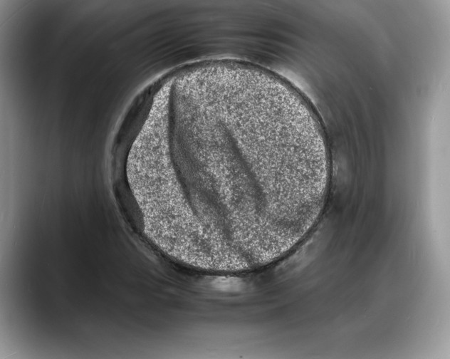 X0000088031119200706081456