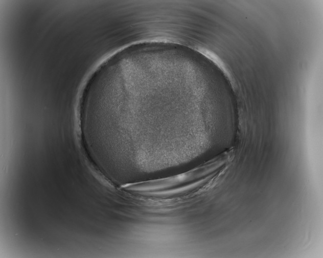 X0000088031120200706081456