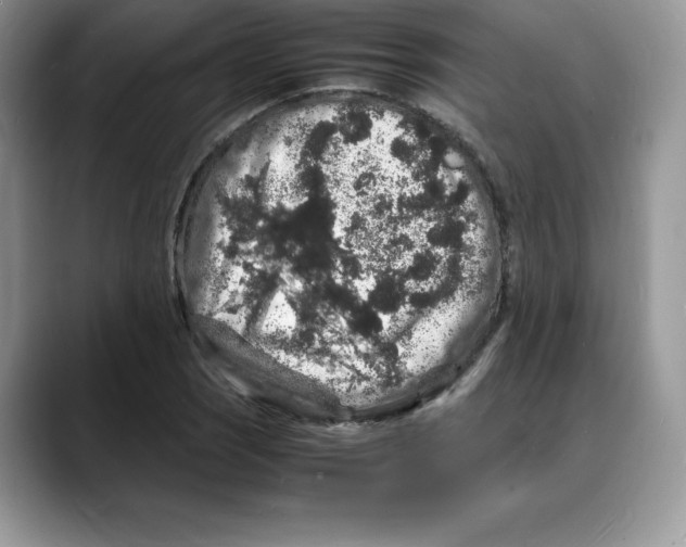 X0000088031121200706081456