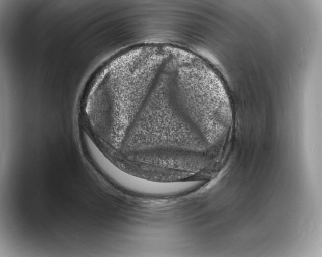 X0000088031122200706081456