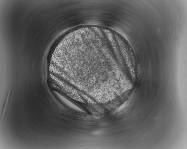 X0000088031123200706081456