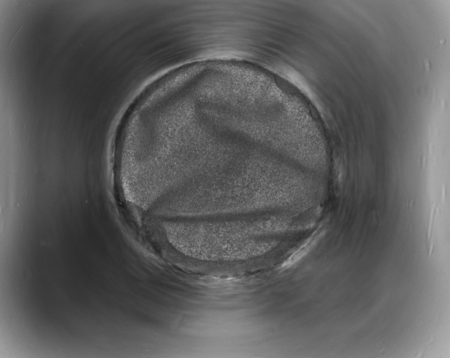 X0000088031124200706081456