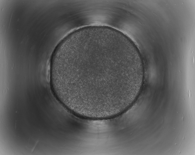 X0000088031126200706081456