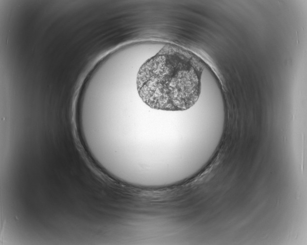 X0000088031128200706081456