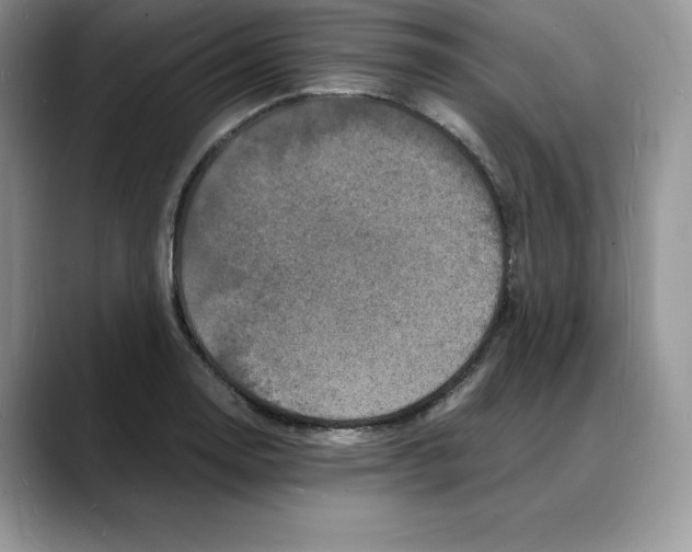 X0000088031130200706081456