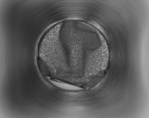 X0000088031132200706081456