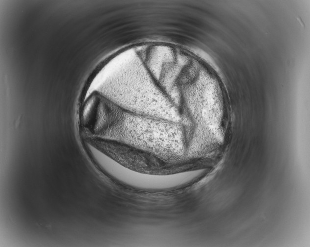 X0000088031133200706081456