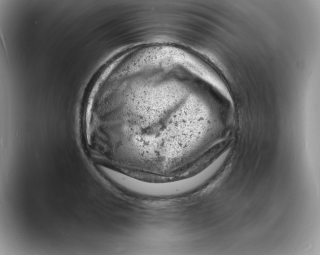 X0000088031134200706081456