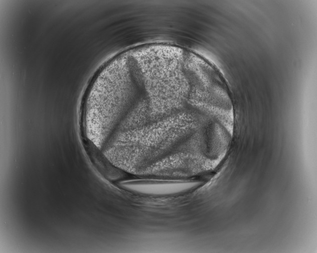X0000088031135200706081456