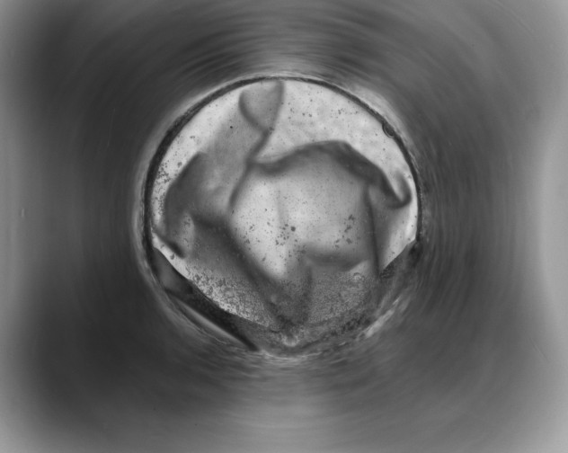 X0000088031136200706081456
