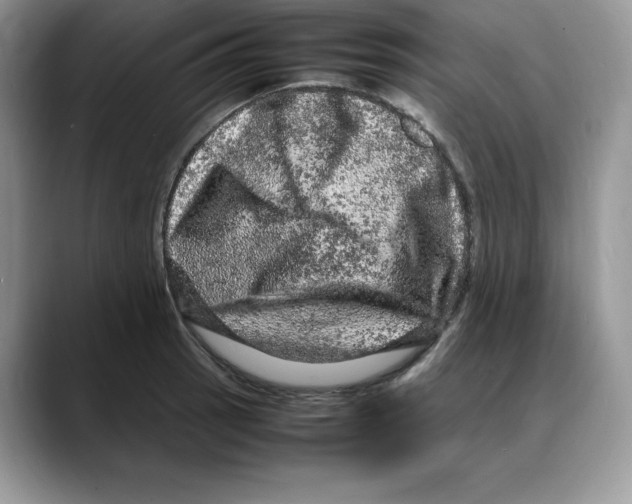 X0000088031137200706081456
