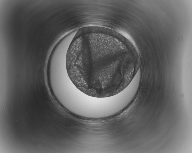 X0000088031138200706081456