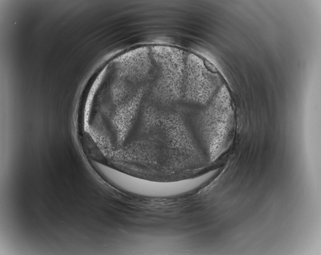 X0000088031139200706081456