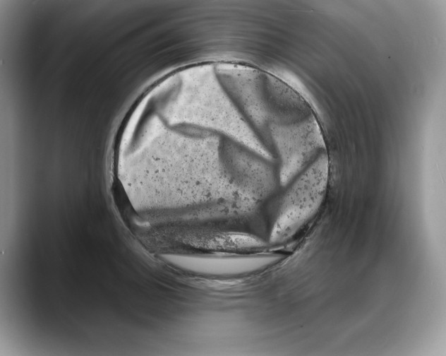 X0000088031140200706081456