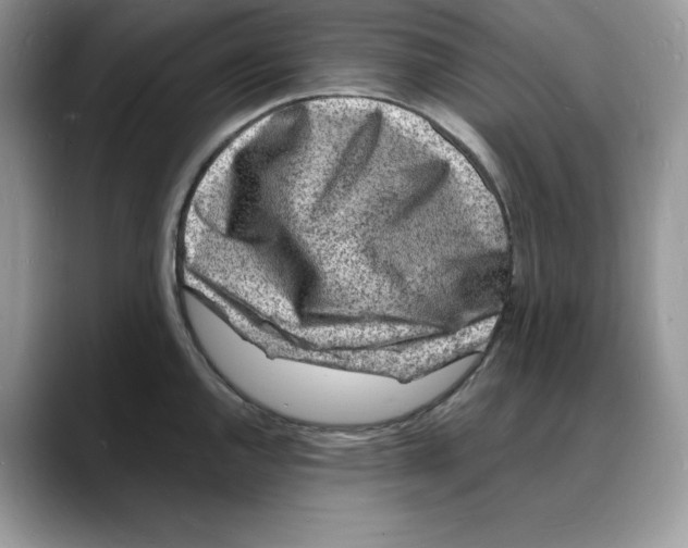 X0000088031144200706081456