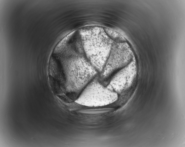 X0000088031145200706081456