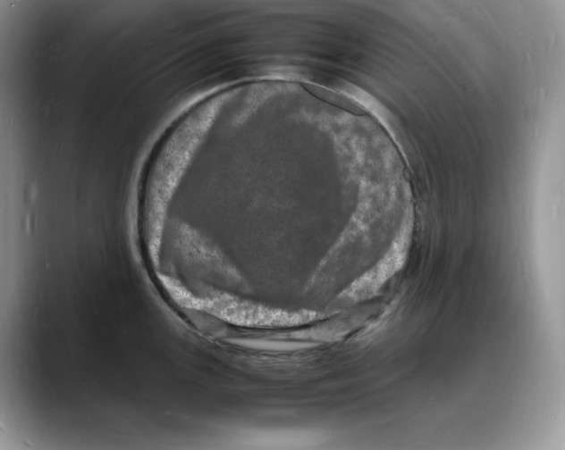X0000088031147200706081456