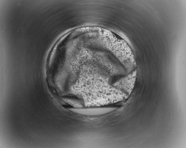 X0000088031148200706081456