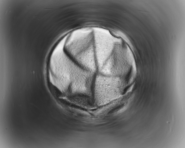 X0000088031149200706081456