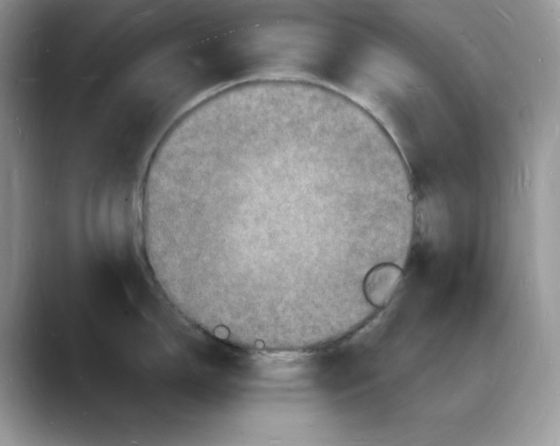 X0000088031150200706081456