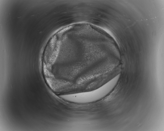 X0000088031151200706081456