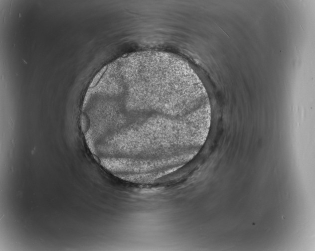 X0000088031153200706081456