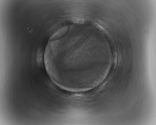 X0000088031154200706081456