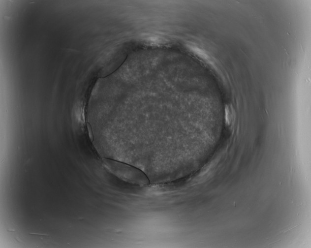 X0000088031155200706081456