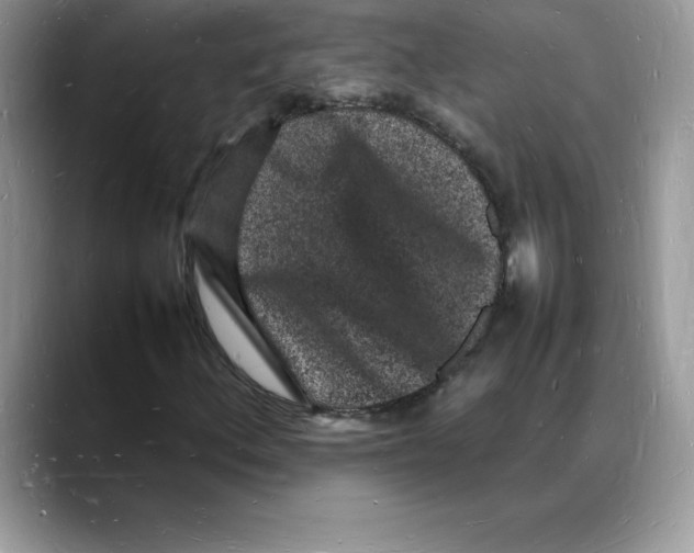 X0000088031156200706081456