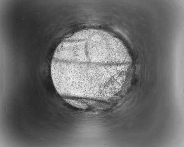 X0000088031159200706081455