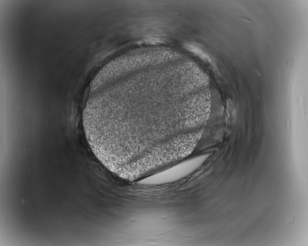 X0000088031160200706081455
