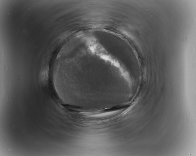 X0000088031161200706081455