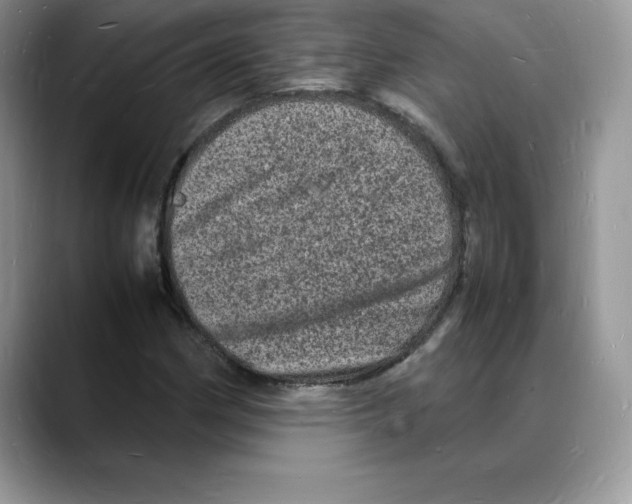 X0000088031162200706081455