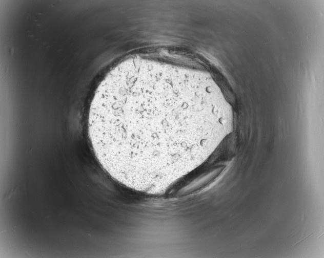 X0000088031163200706081455