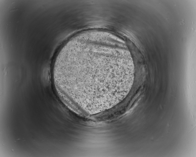 X0000088031164200706081455