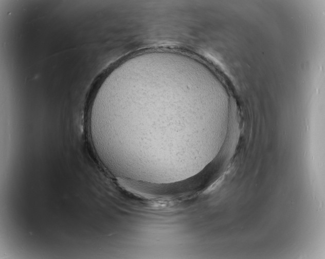 X0000088031165200706081455