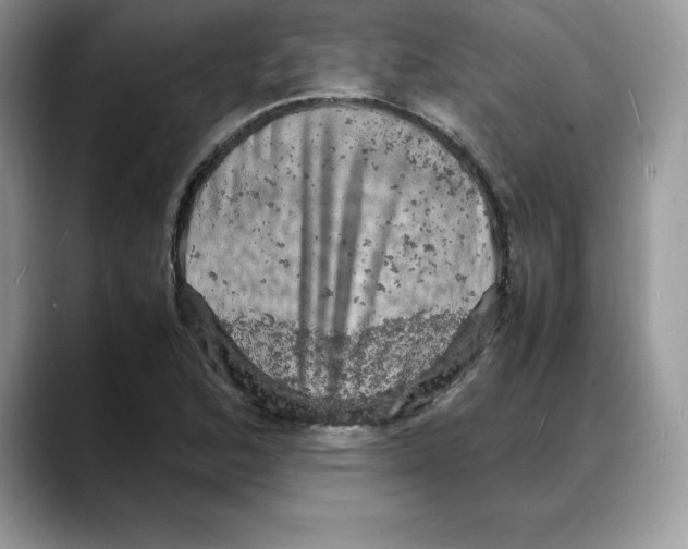 X0000088031168200706081455