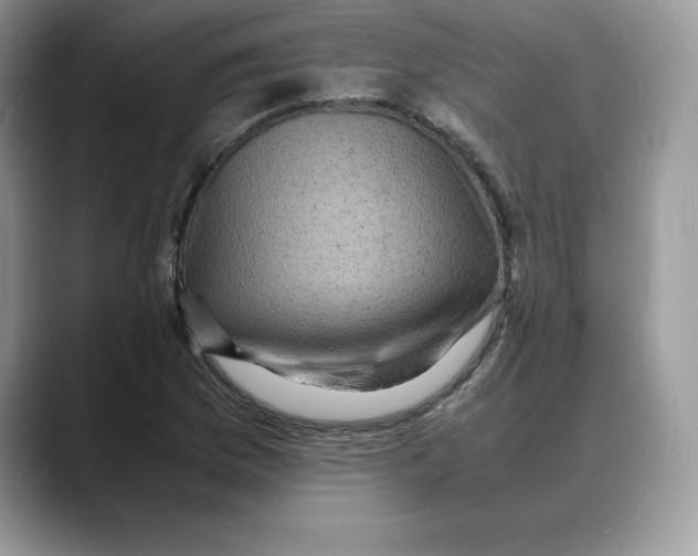X0000088031169200706081455